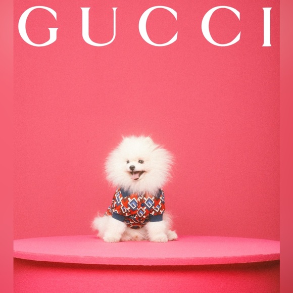 Always have fun with fashion. Dress to entertain yourself.” - Betsey Johnson - Picture 8 of 10